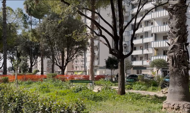 Trasporto green, verde abbattuto: il paradosso delle BRT