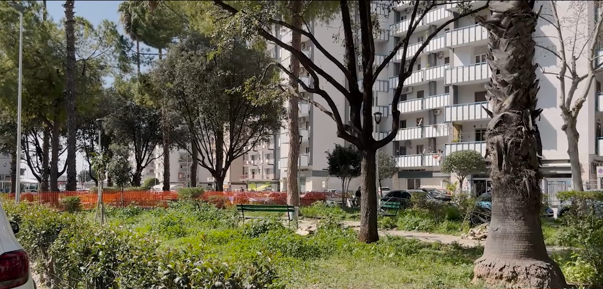 Trasporto green, verde abbattuto: il paradosso delle BRT