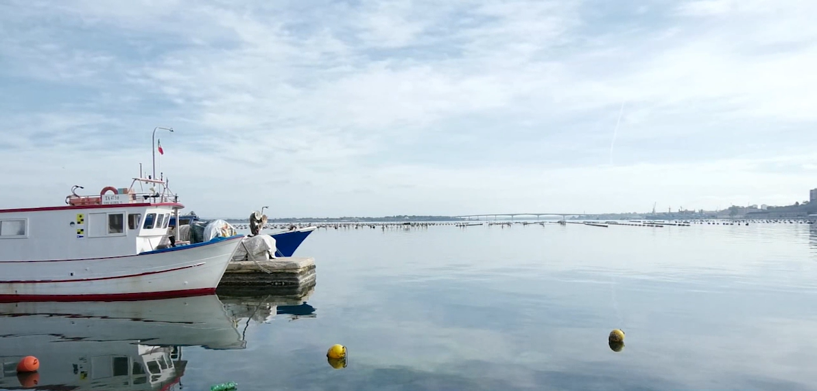 Archi, sensibilità e studio: la firma inconfondibile di Fabio Barnaba