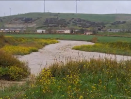 Piogge incessanti e allagamenti: agricoltura in difficoltà