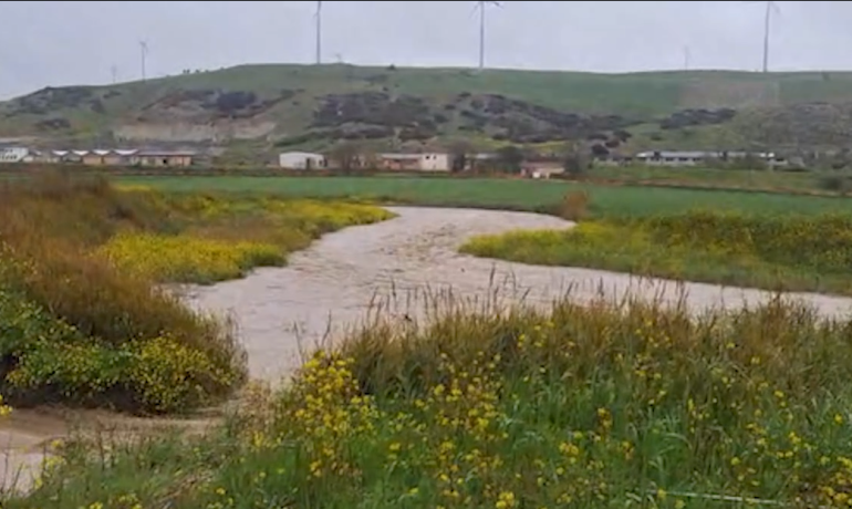 Piogge incessanti e allagamenti: agricoltura in difficoltà