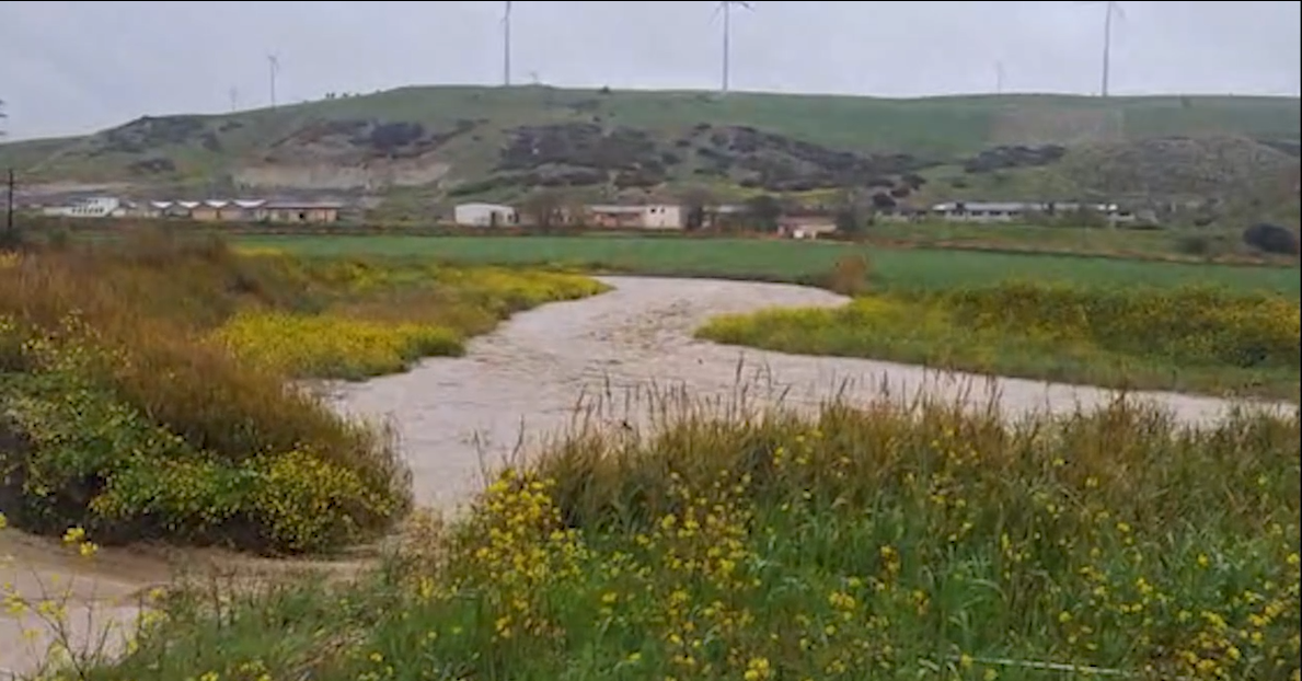Piogge incessanti e allagamenti: agricoltura in difficoltà