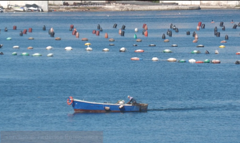 Il mare come identità: Taranto racconta i suoi miti