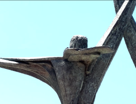 Risorse in arrivo, risultati assenti: il paradosso tarantino