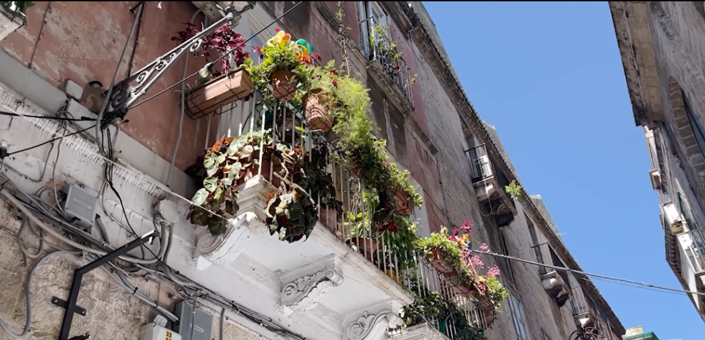 Filiere Verdi: alghe, bioenergie e nuova occupazione green