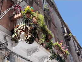 Filiere Verdi: alghe, bioenergie e nuova occupazione green