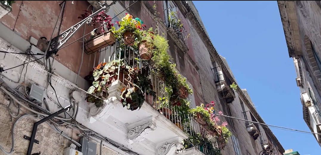 Filiere Verdi: alghe, bioenergie e nuova occupazione green