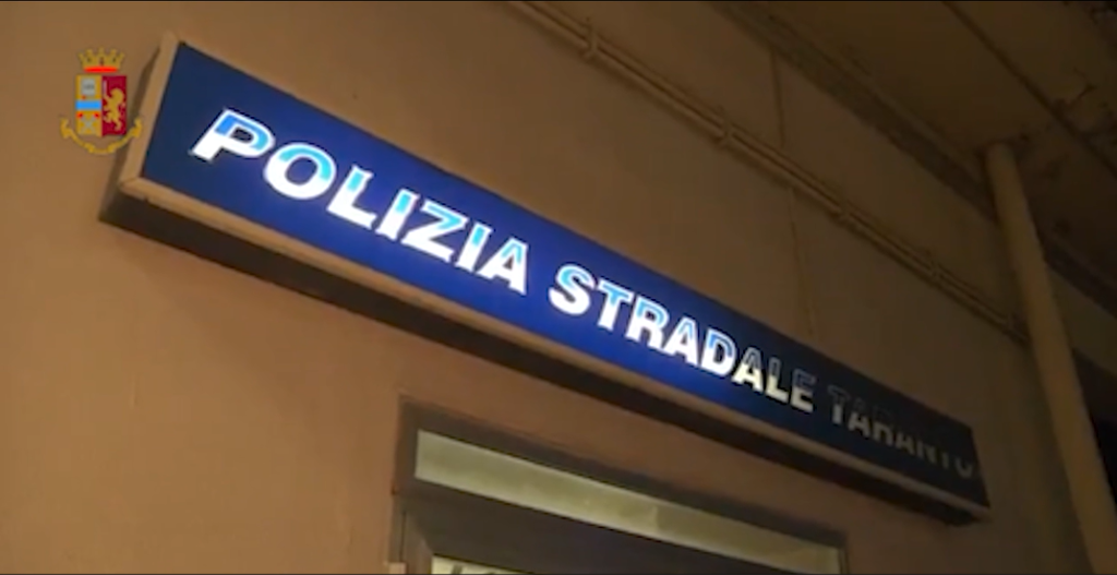 Bovini senza tracciabilità sanitaria