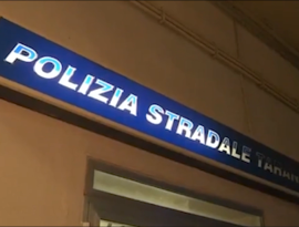 Bovini senza tracciabilità sanitaria