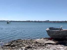 Continuano le attività di clean up con "Miti di Mare"
