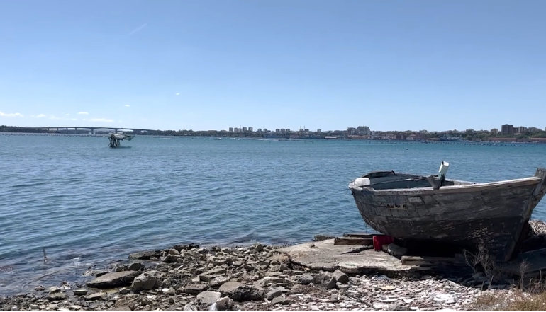 Continuano le attività di clean up con "Miti di Mare"