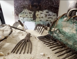Miti di Mare: racconti e memorie dell'oro nero di Taranto