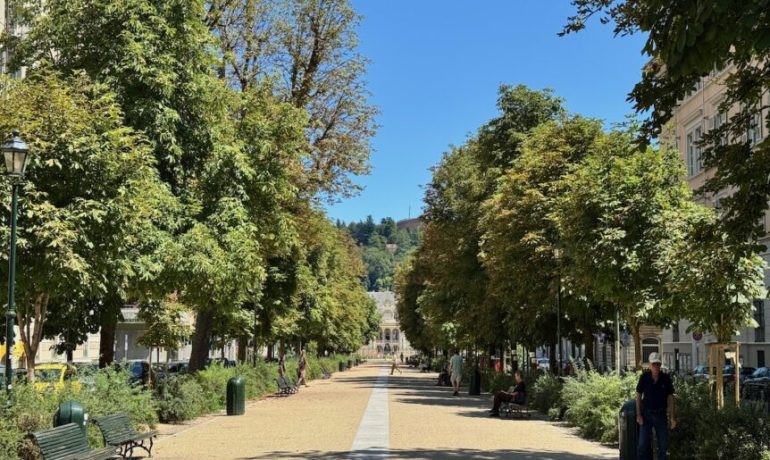 Taranto e il verde che manca: solo 12 alberi ogni 100 abitanti.