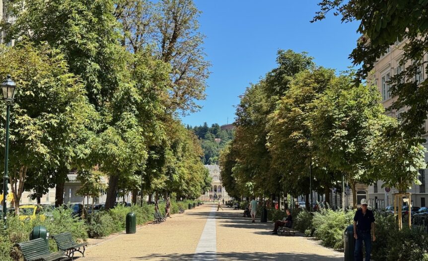 Taranto e il verde che manca: solo 12 alberi ogni 100 abitanti.