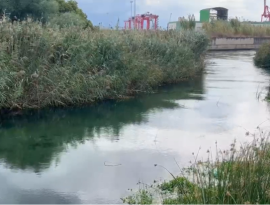 Fiume Tara: ambientalisti contro Gravame