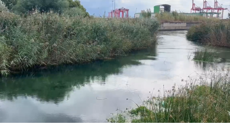 Fiume Tara: ambientalisti contro Gravame