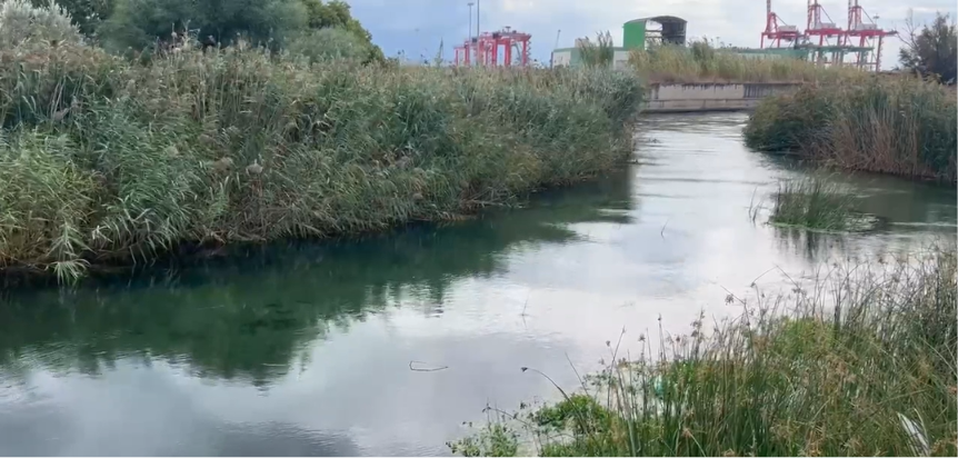 Fiume Tara: ambientalisti contro Gravame