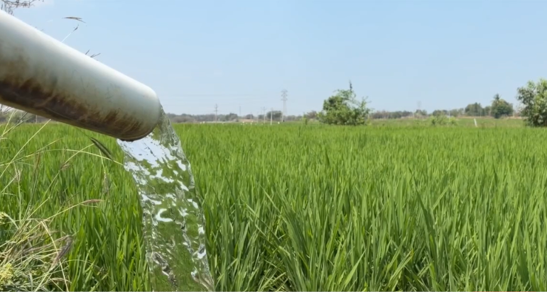Emergenza agricoltura in Puglia