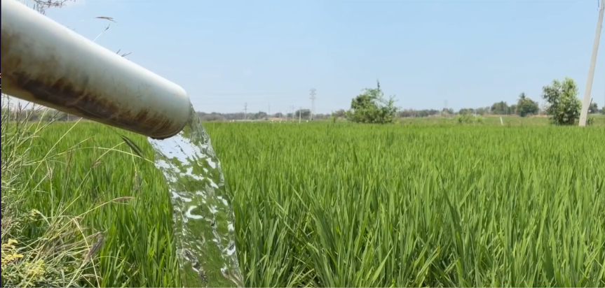Emergenza agricoltura in Puglia
