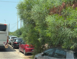 Litoranea: rischi per bagnanti e autisti