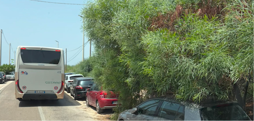 Litoranea: rischi per bagnanti e autisti