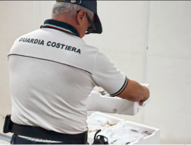 Prodotto Ittico non conforme: droga e mancata sicurezza sul lavoro