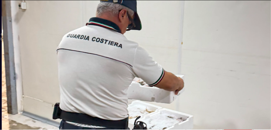 Prodotto Ittico non conforme: droga e mancata sicurezza sul lavoro