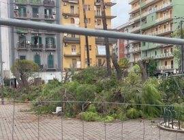 Piazza Messapia: solo 15 alberi a rischio su 95