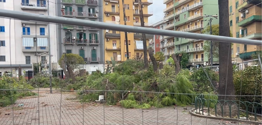 Piazza Messapia: solo 15 alberi a rischio su 95